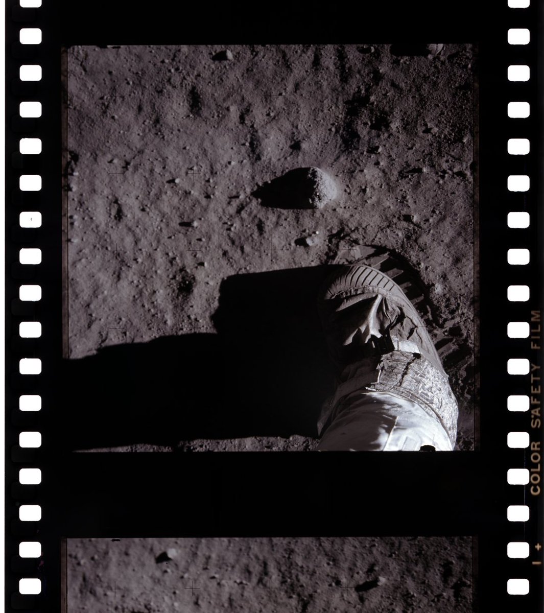 madi ☠︎ tweet media