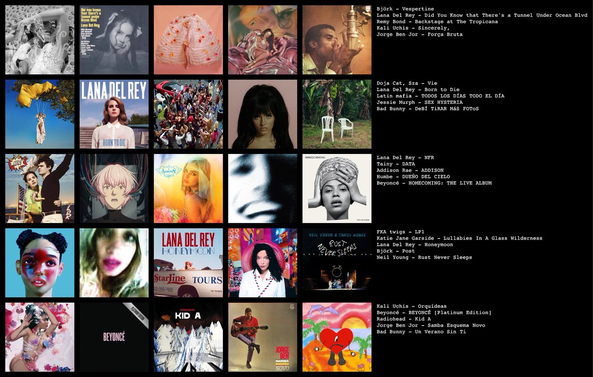 Danita 🇧🇷 tweet media