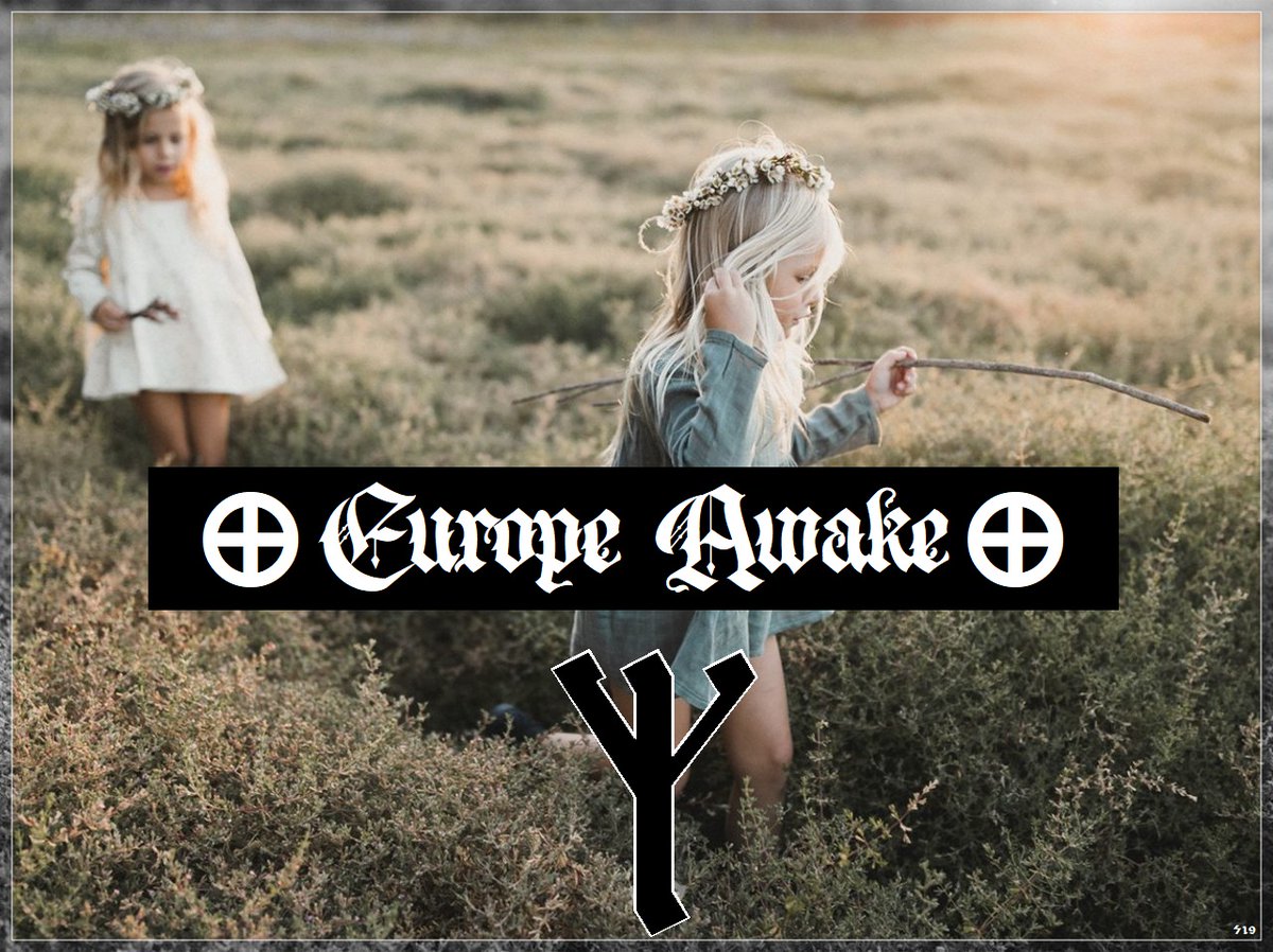 PURE BLOOD HEATHEN tweet media