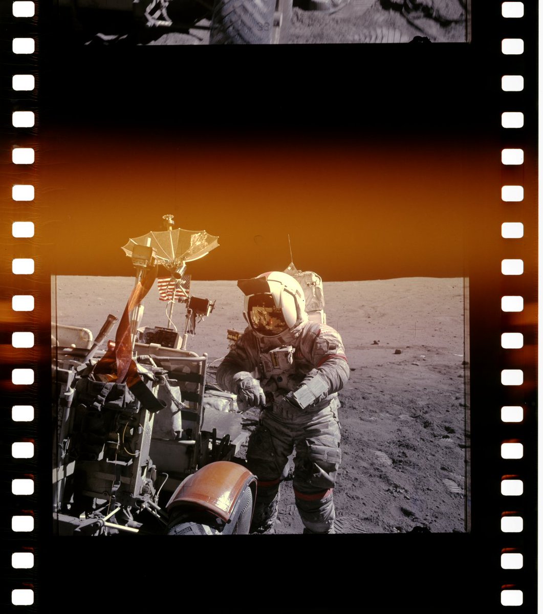 madi ☠︎ tweet media