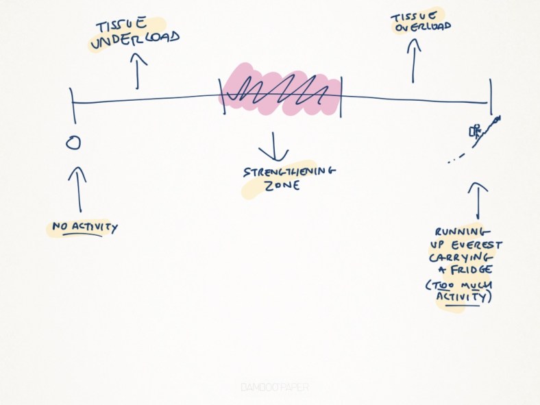 FitnessHacks101's tweet image. Dealing with a running injury? 🏃‍♂️ Don’t let setbacks stop your progress! Check out our top 10 tips for managing running injuries and get back on track stronger than ever: running-physio.com/toptips/ 

#RunningInjury #InjuryPrevention #RunnerTips #FitnessHacks101 #Wellness