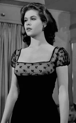 Undiscovered History tweet media