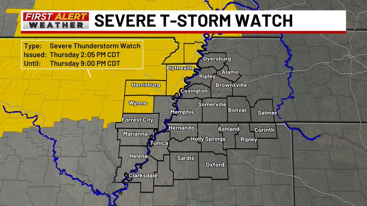 Eric Brill tweet media