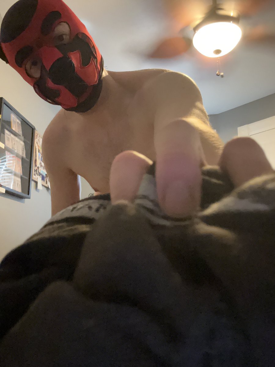 TwizzPup's tweet photo. Went for a run where are my musky pups at? (Ignore my messy room) https://t.co/oZxKmYdN29