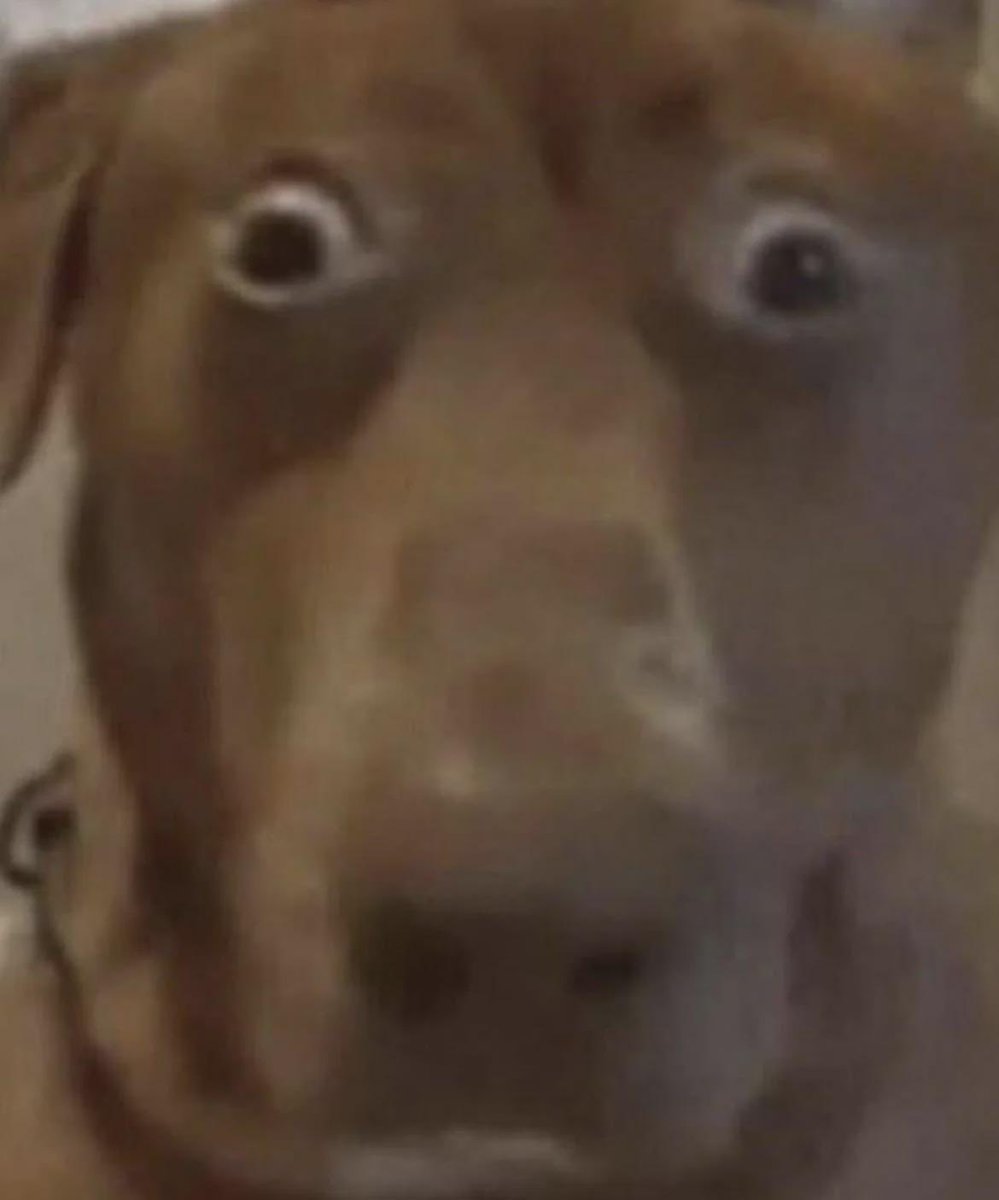 Herearesomewords tweet media