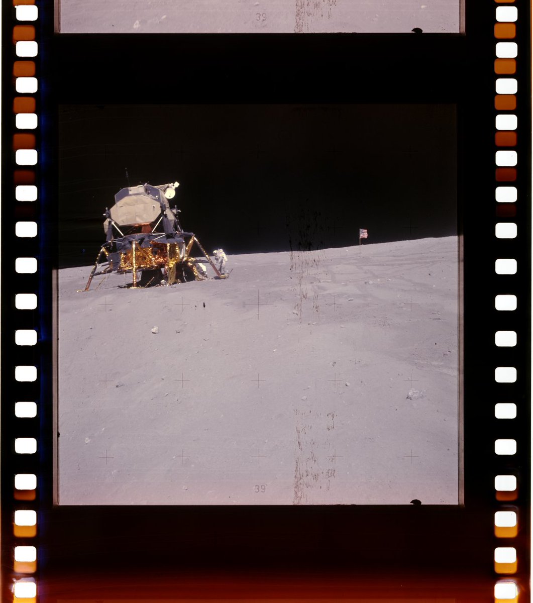 madi ☠︎ tweet media