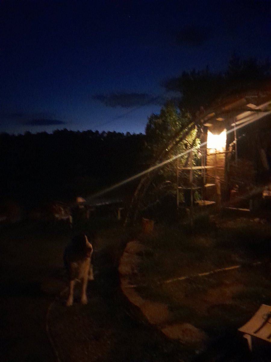 tarrestnom83's tweet photo. Avui sí! Primera nit que canten els grills. Benvinguda primavera, adeu gelades😍 https://t.co/OKbrLVPx91