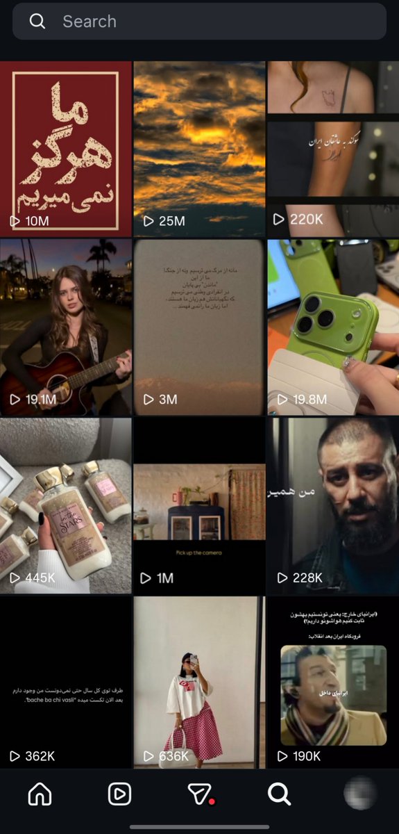 گربه. tweet media