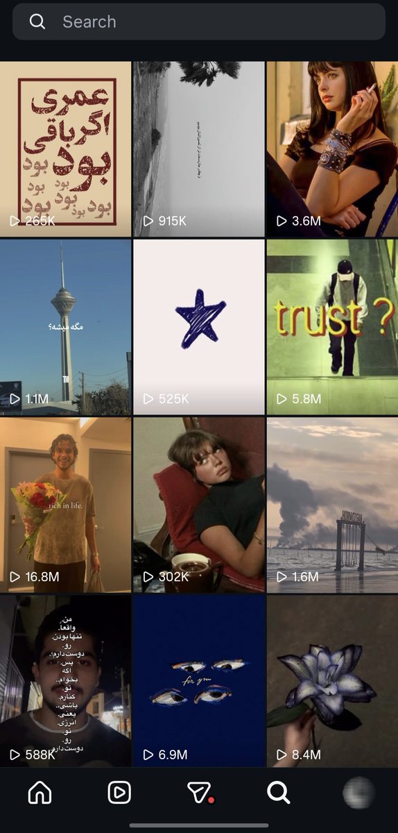 گربه. tweet media