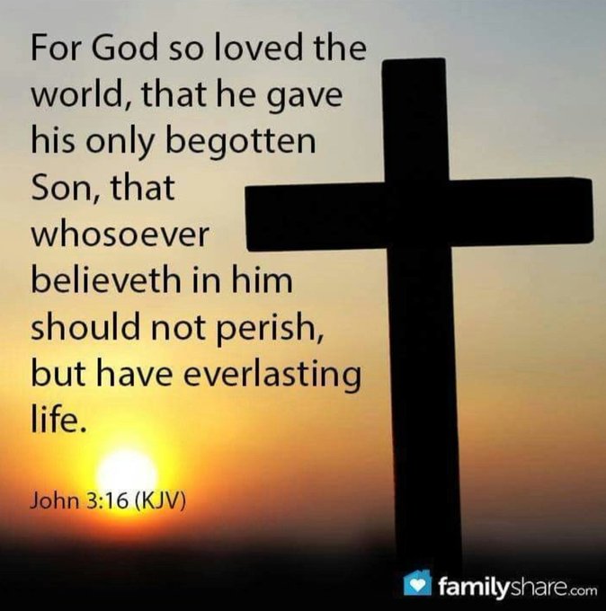 Michael Rocus tweet media