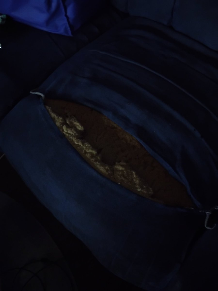 dirty pig psycho tweet media