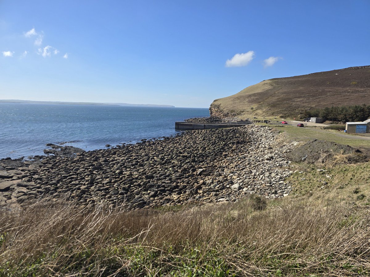 Steven, 3 Star Gacha Pull tweet media