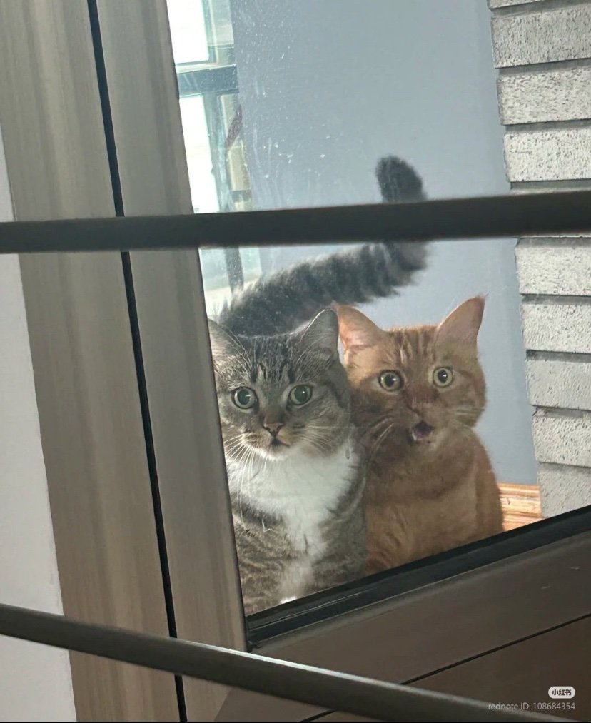 Whattt!!!! 🙀🙀🙀