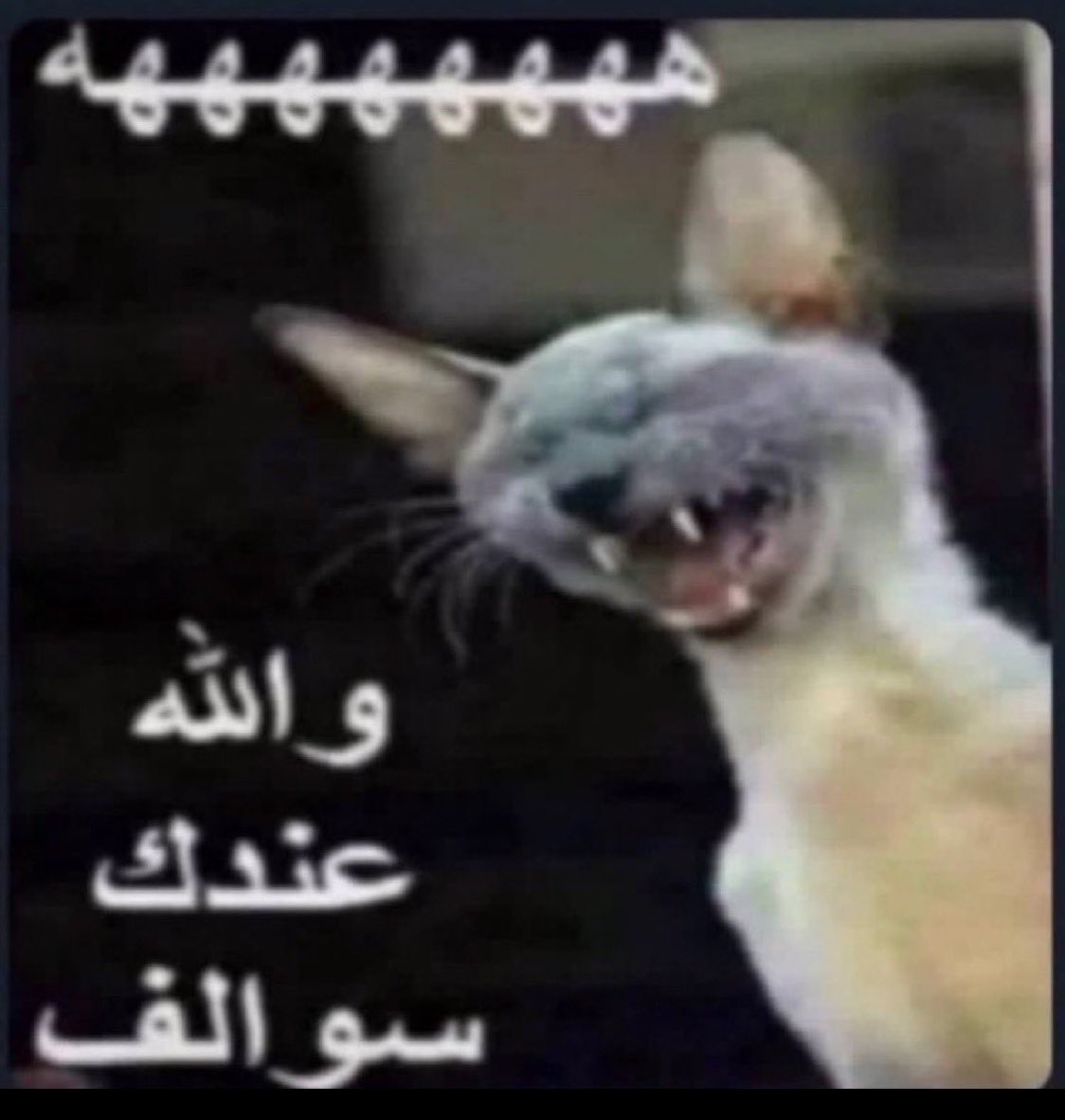 WEEF₁₅ tweet media