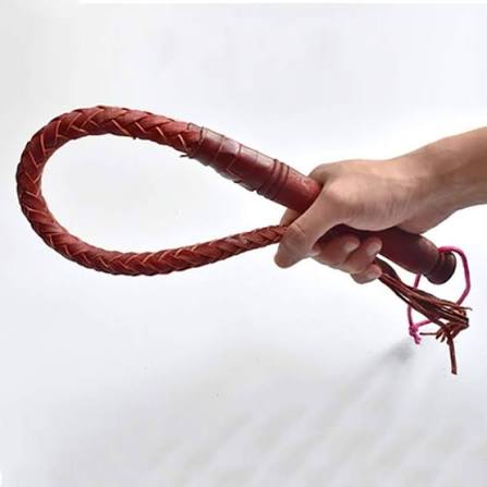 مصطفى عامر - Mustafa Amer tweet media