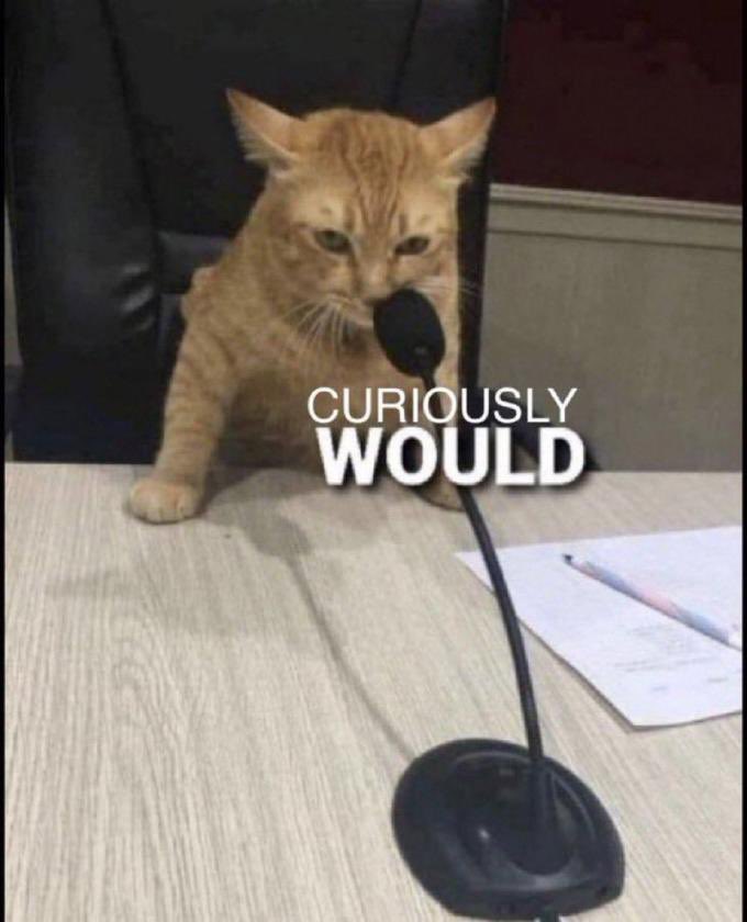 Michael D tweet media