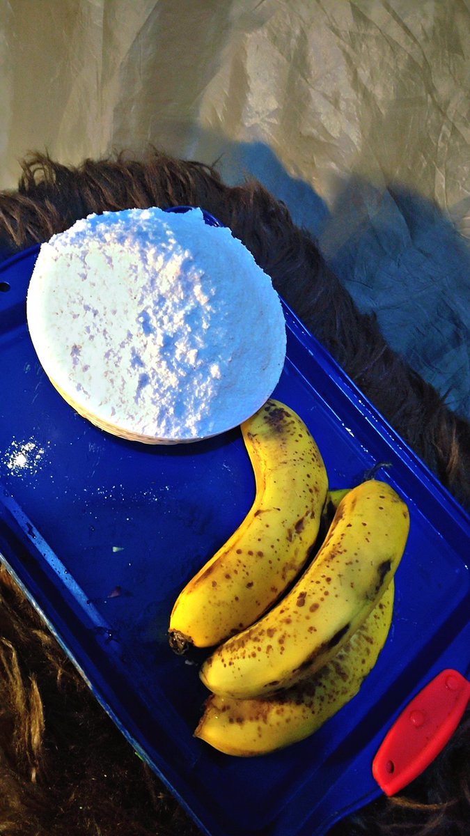 MRENO⛑️ tweet media