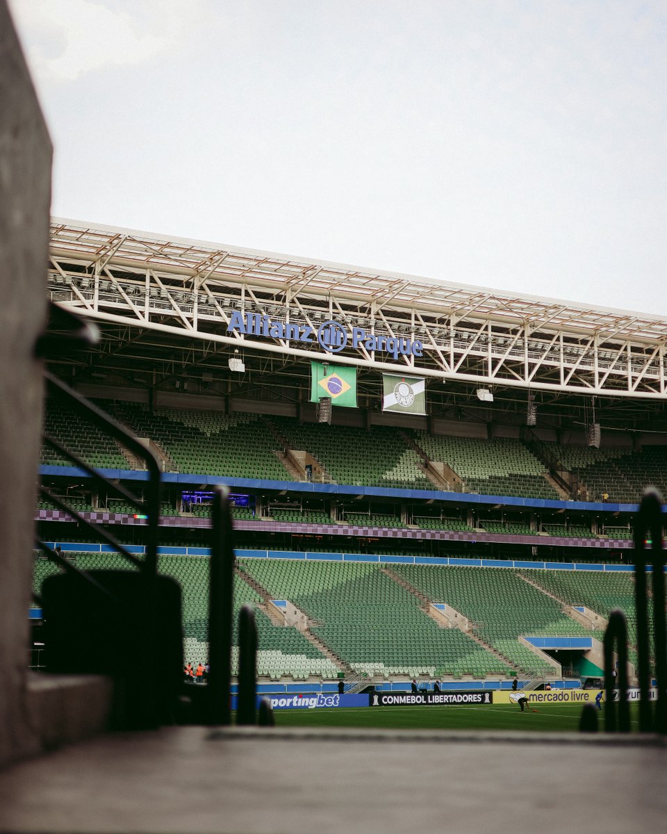 SE Palmeiras tweet media