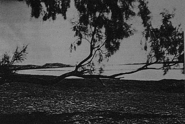 Rahm Kota tweet media