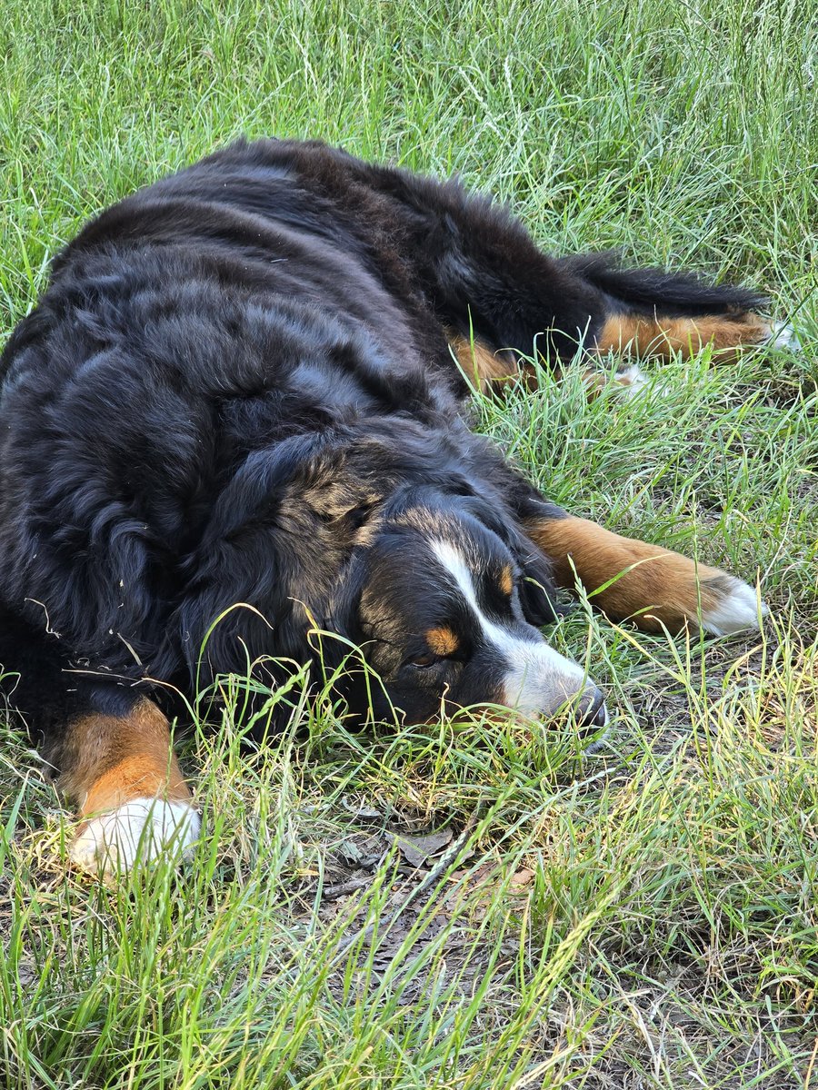 Grzegorz tweet media