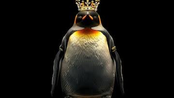 SportsFemPerú tweet media