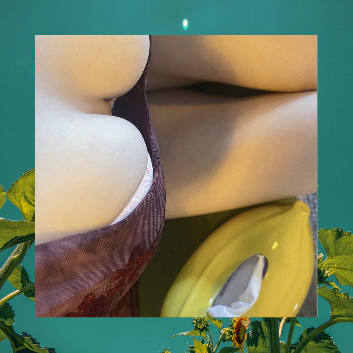 Andy Harris tweet media