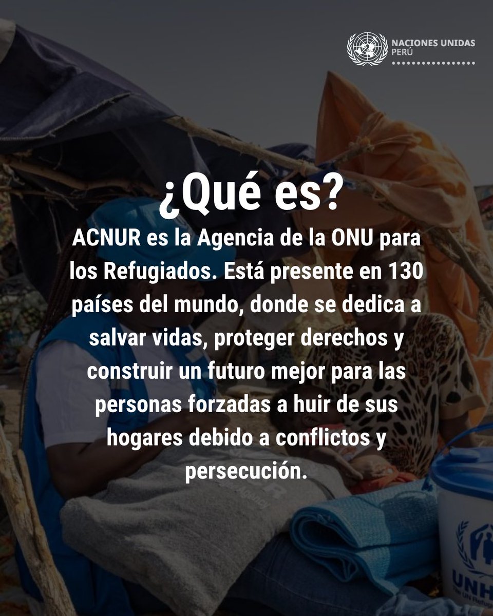 Naciones Unidas Perú tweet media