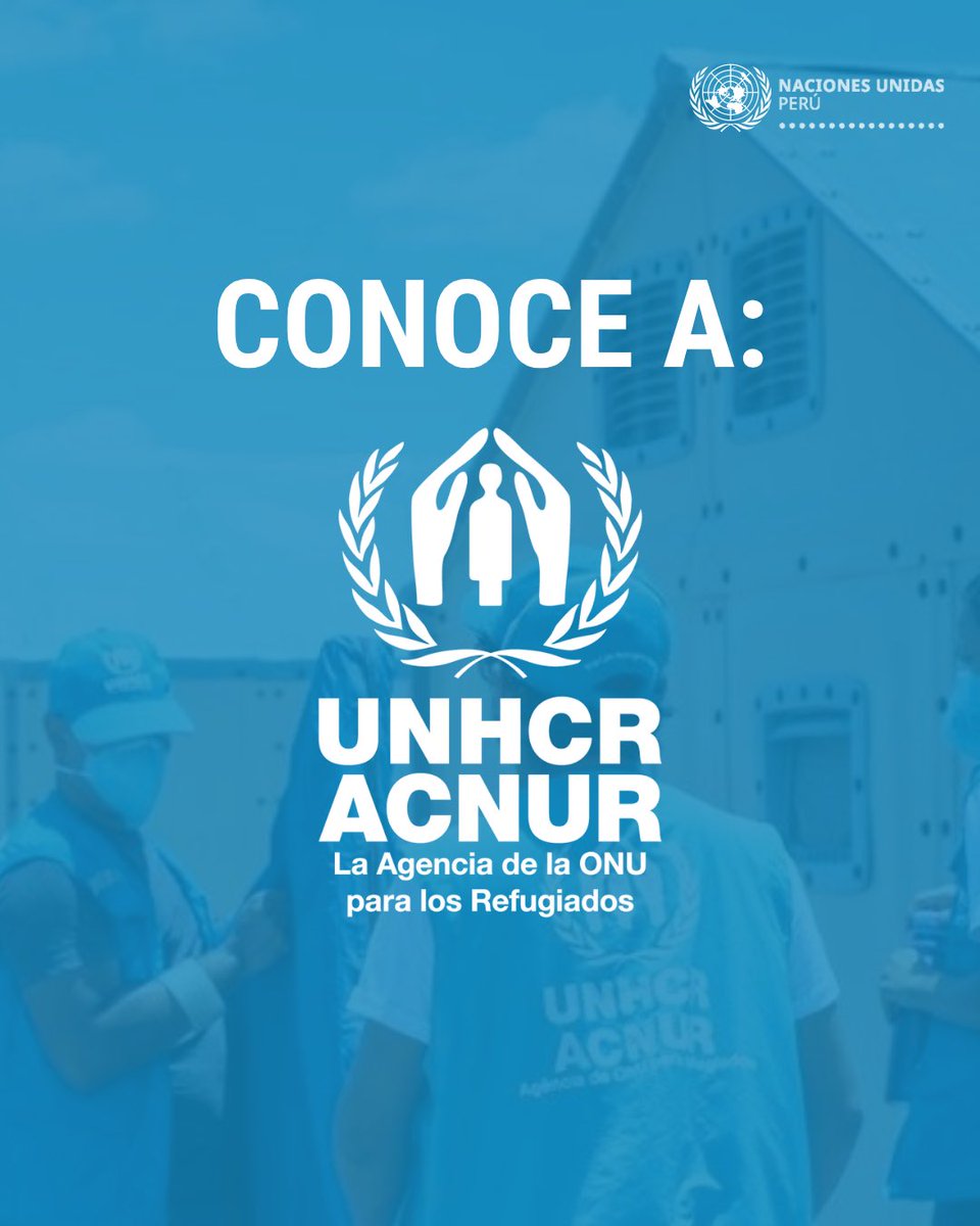 Naciones Unidas Perú tweet media