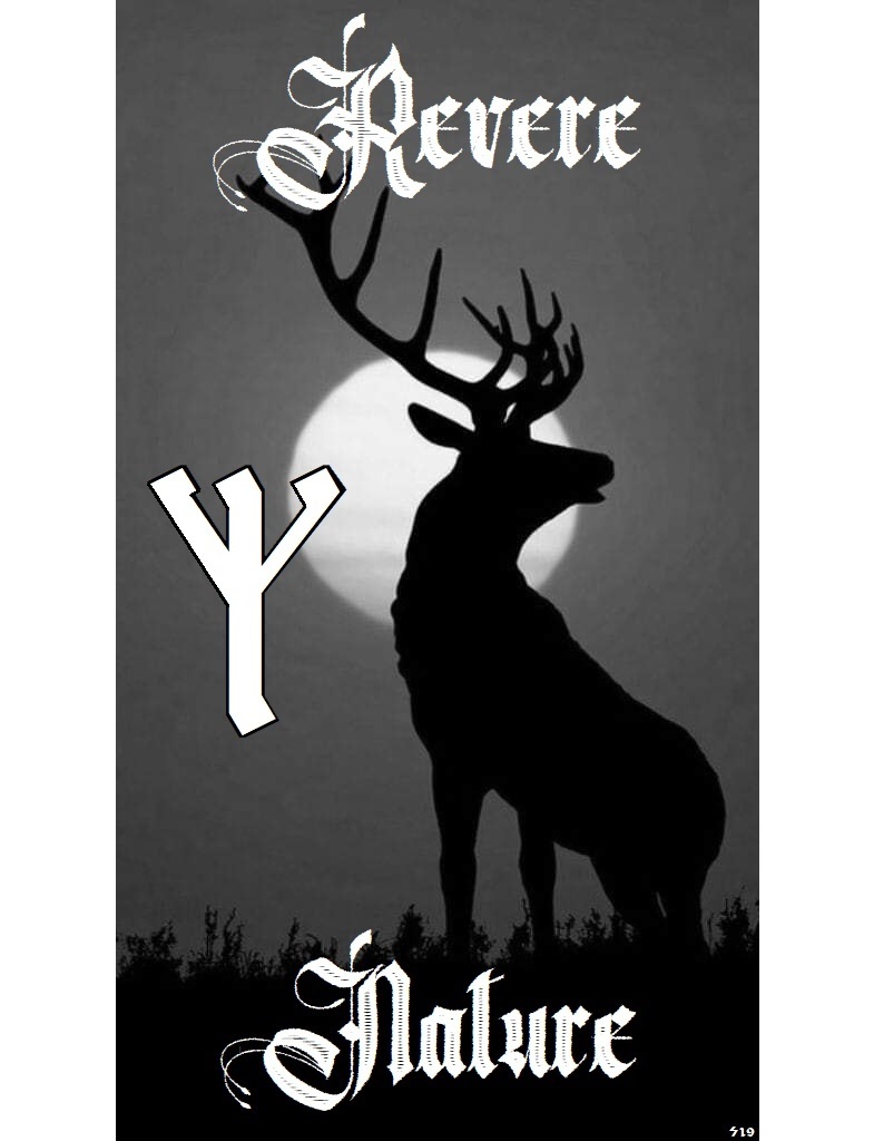 PURE BLOOD HEATHEN tweet media