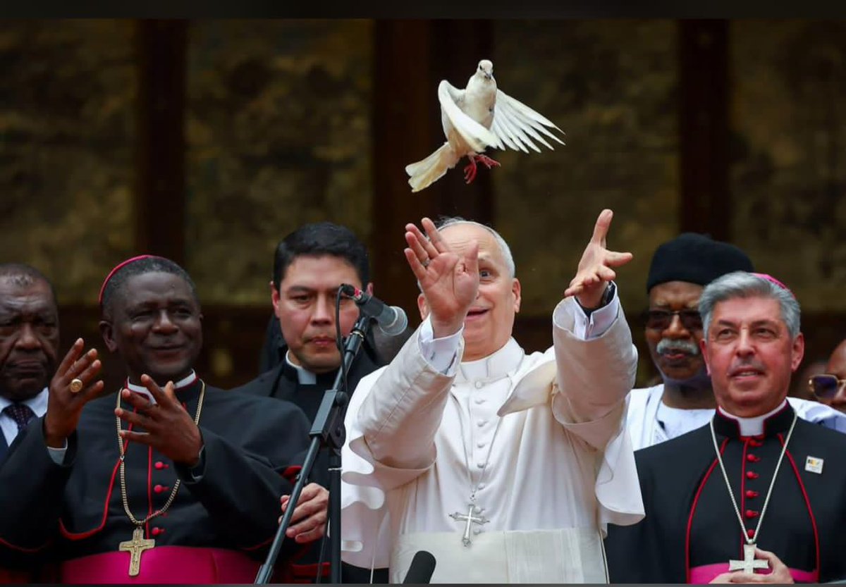 COLOMBE SPORTIVE DU SUD 🕊️🇨🇲 tweet media