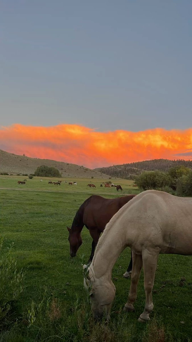 HeavenOnEarth tweet media