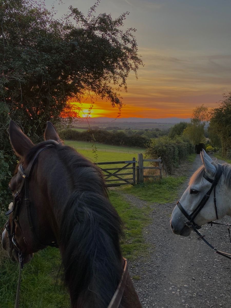 HeavenOnEarth tweet media