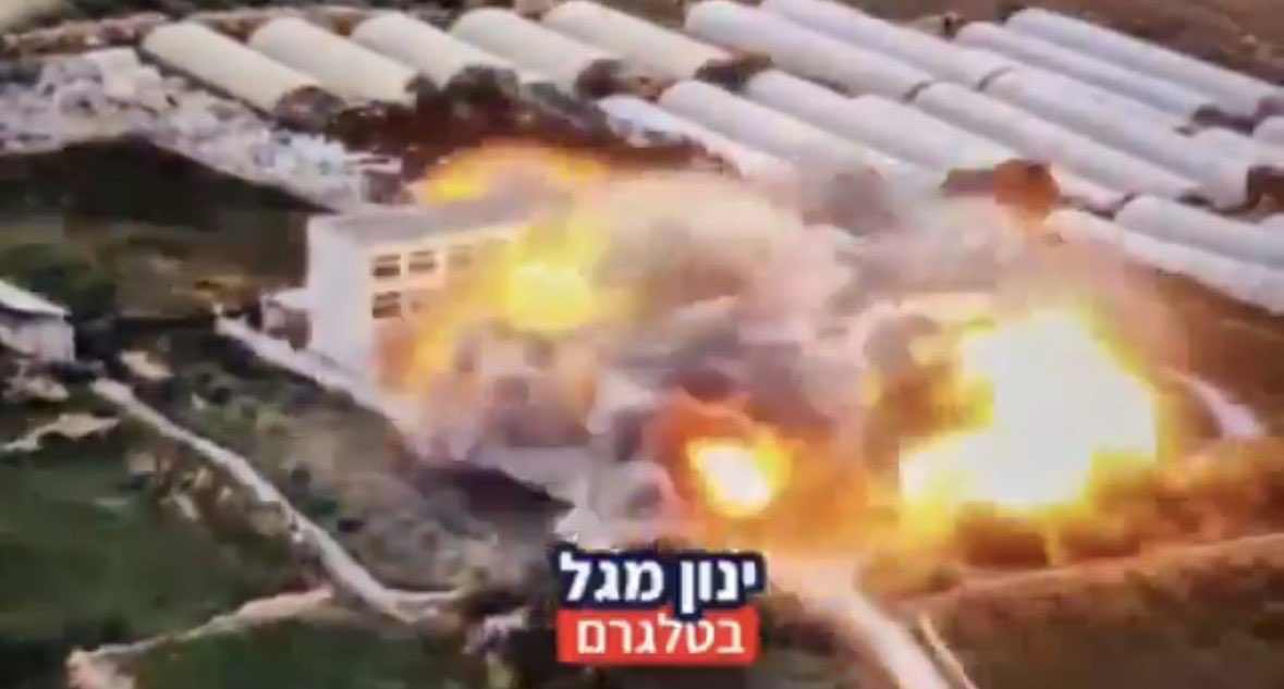 Mohamad Safa tweet media