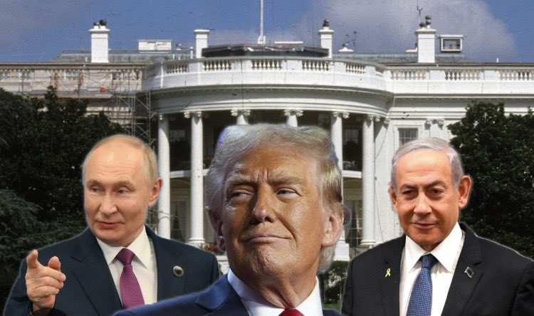 Suzie rizzio tweet media