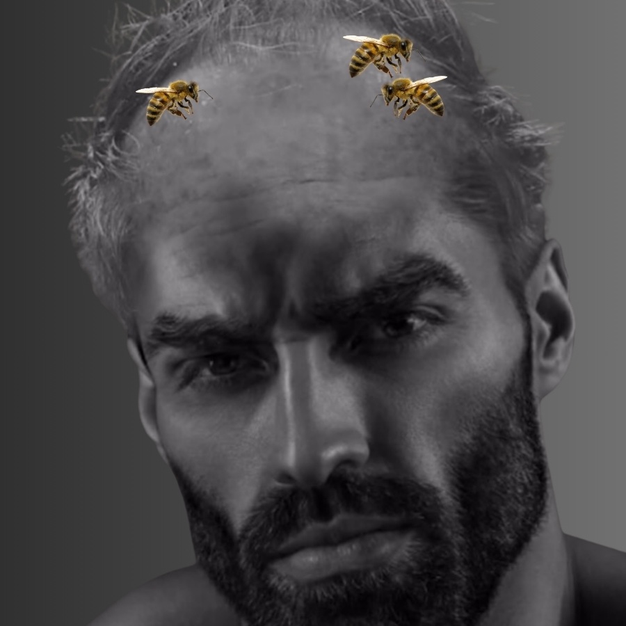 _aestheticprimal_ tweet media