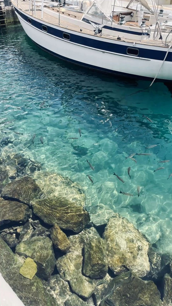 Girls therapy tweet media