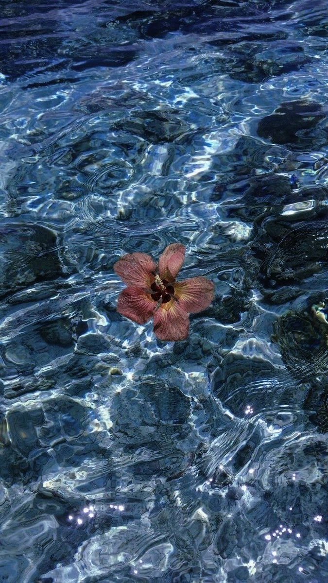 Girls therapy tweet media