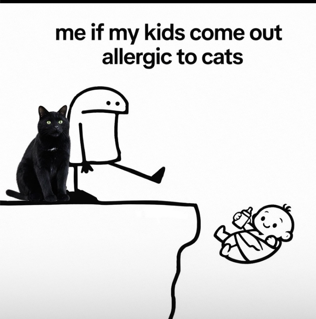 cats with powerful aura tweet media