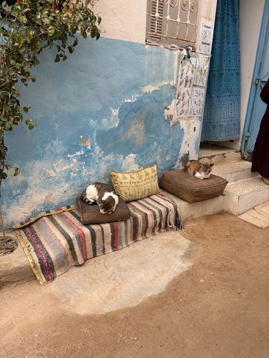 lavitalenta tweet media