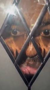 William Wolfe 🇺🇸 tweet media