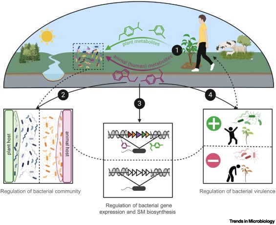 Trends in Microbiology tweet media