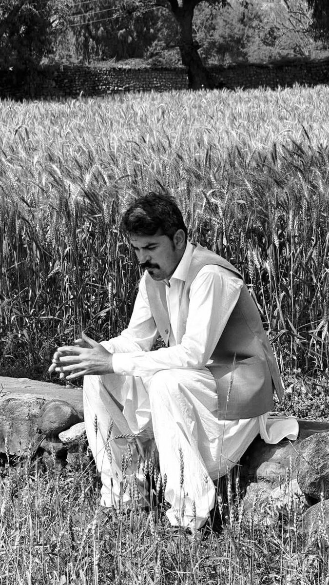 Hamid Waziri tweet media