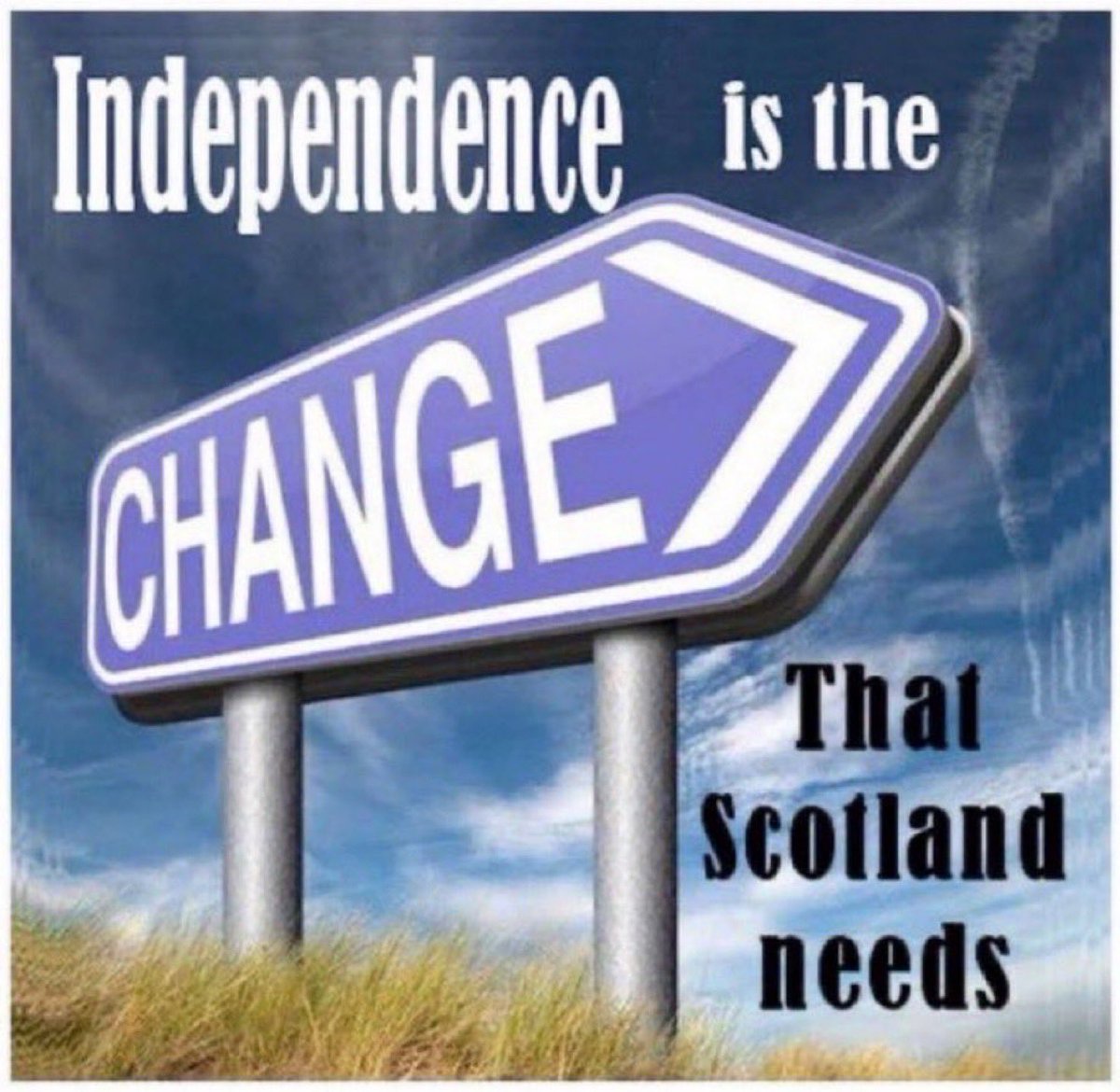 Child of Alba 🏴󠁧󠁢󠁳󠁣󠁴󠁿 tweet media