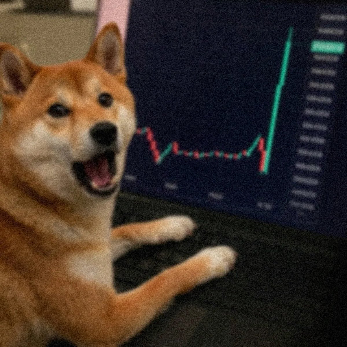 How $Theo gonna be looking when all the fomo guys get in!

APyxSKzs5Whmte8zynYePEhqAkme6XGLEWDQx31YFVbA