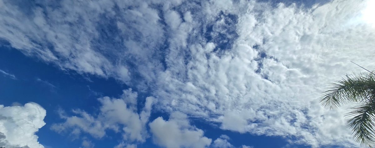 Norma Ortiz Rodriguez tweet media