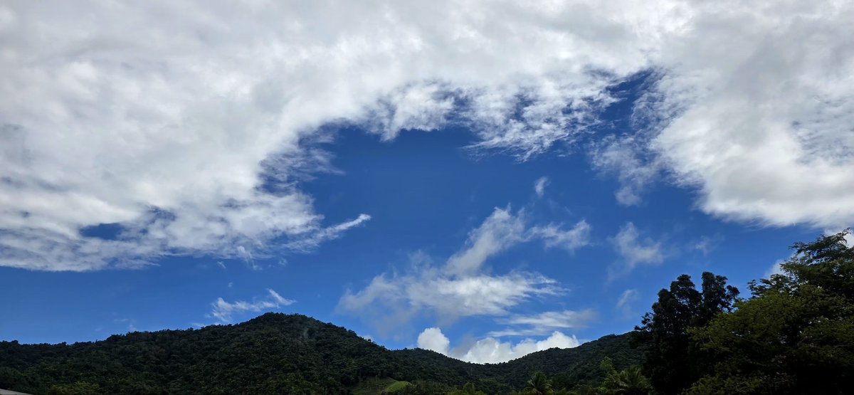 Norma Ortiz Rodriguez tweet media