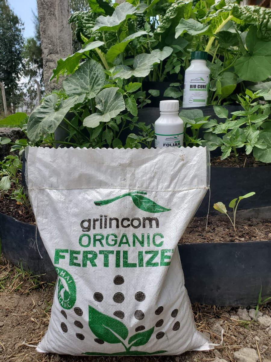 griincom's tweet photo. Griincom organic fertilizer, Foliar and Bio-pesticide for crop management, high yield and healthy soil. https://t.co/nCHDFwp4OP