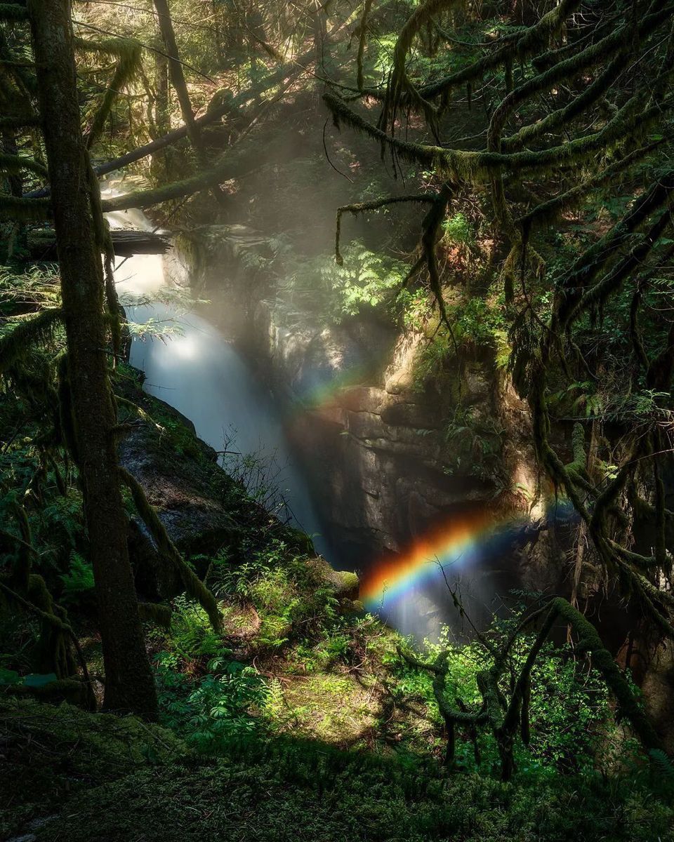 only aesthetic tweet media