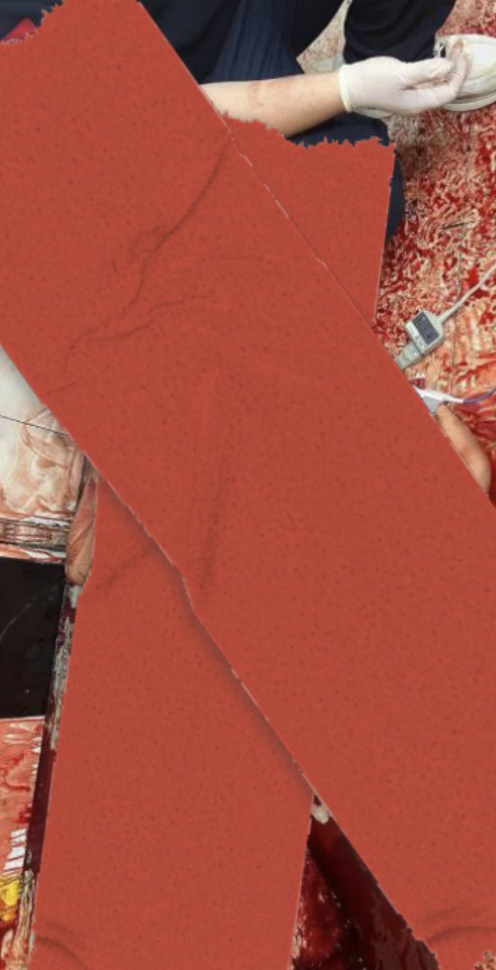 Feyza Öznur tweet media