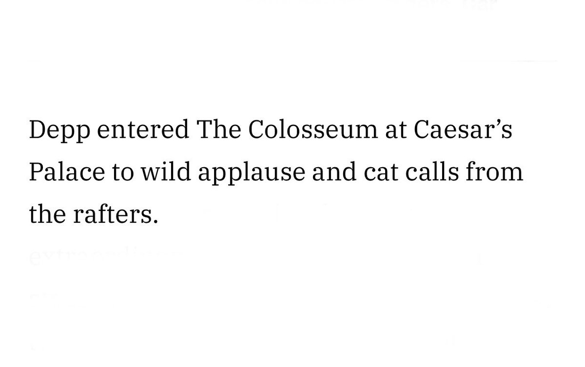 Arwen sparrow 🏴‍☠️ tweet media